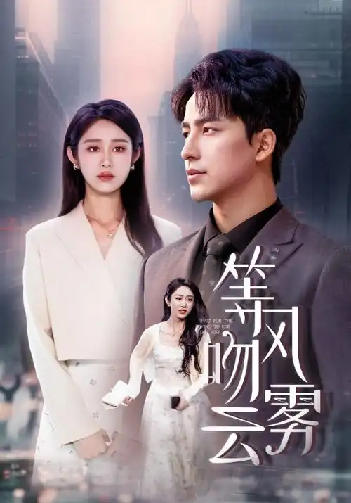 短剧集叙事密度分析